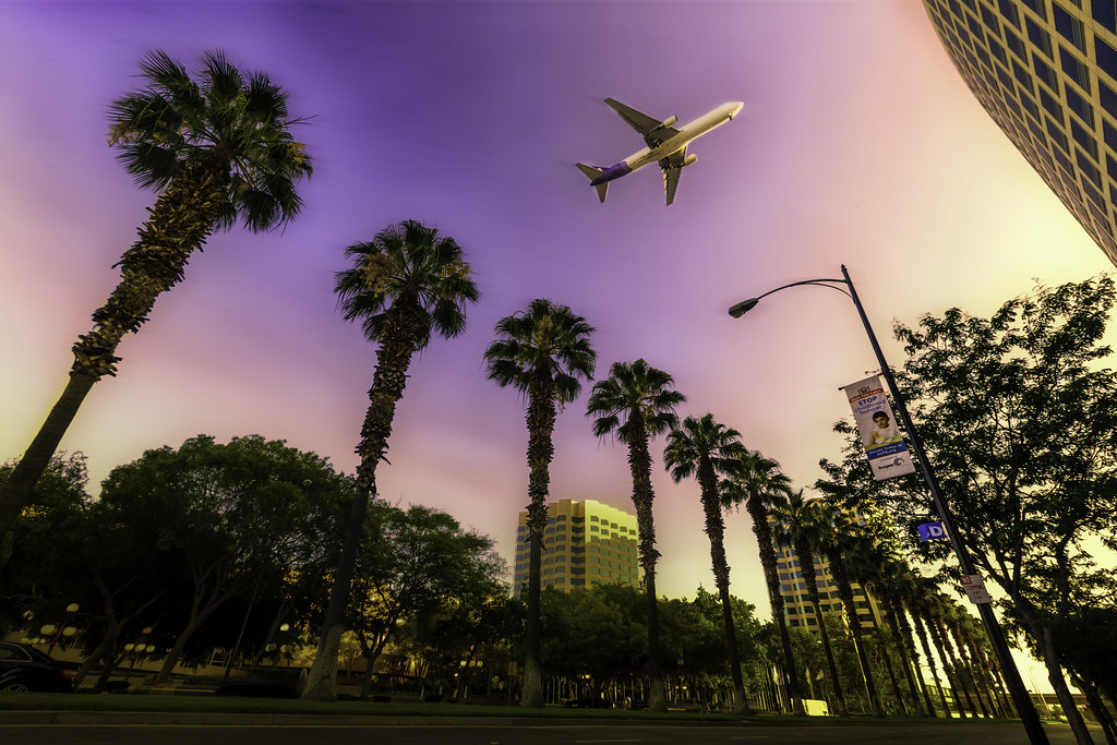 A plane flying over palm trees in the sky.
