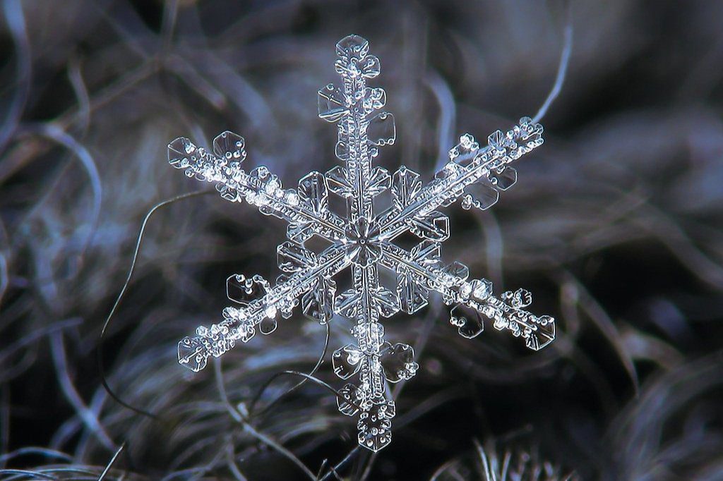 A snowflake is sitting on top of some grass.