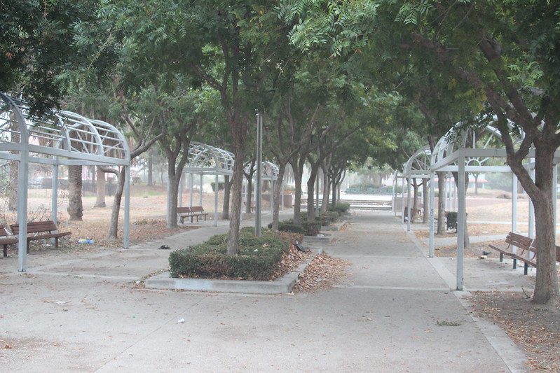 A row of benches and trees in a park.