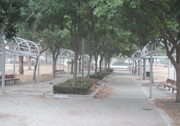 A row of benches and trees in a park.