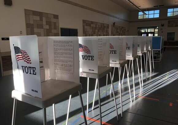 A group of voting booths are lined up in a room.