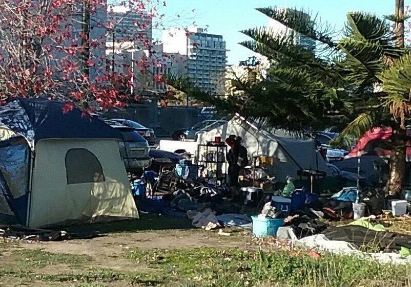 Tents and belongings in a grassy area.